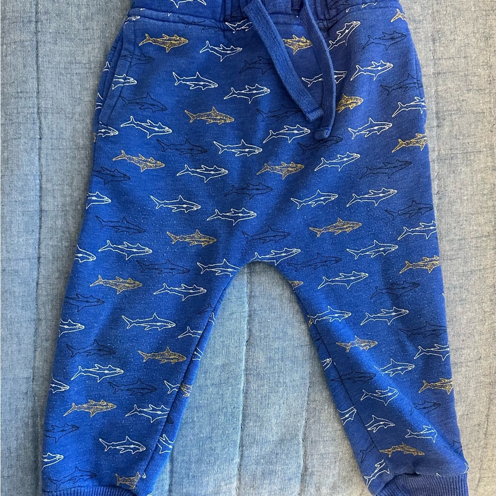 Blue Shark Print Kids Joggers